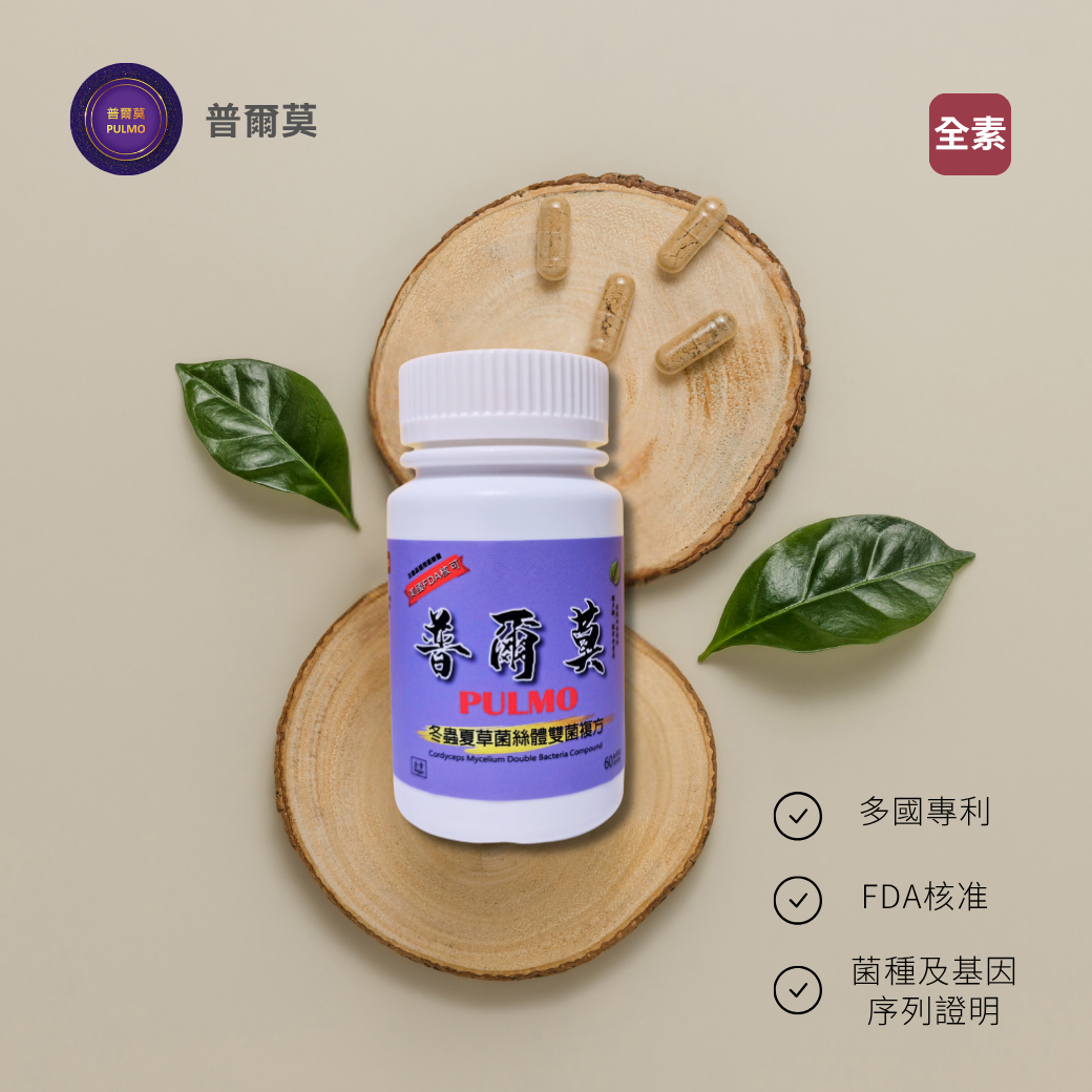 普爾莫